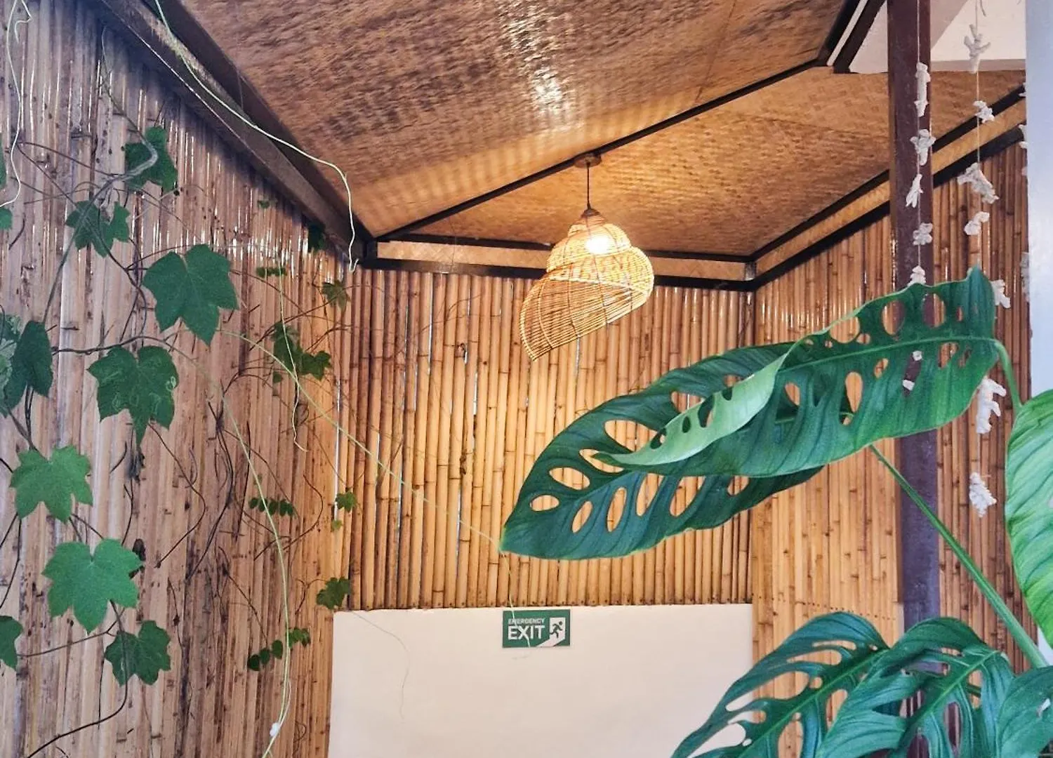 Closca Hostel Ko Tao Thailandia